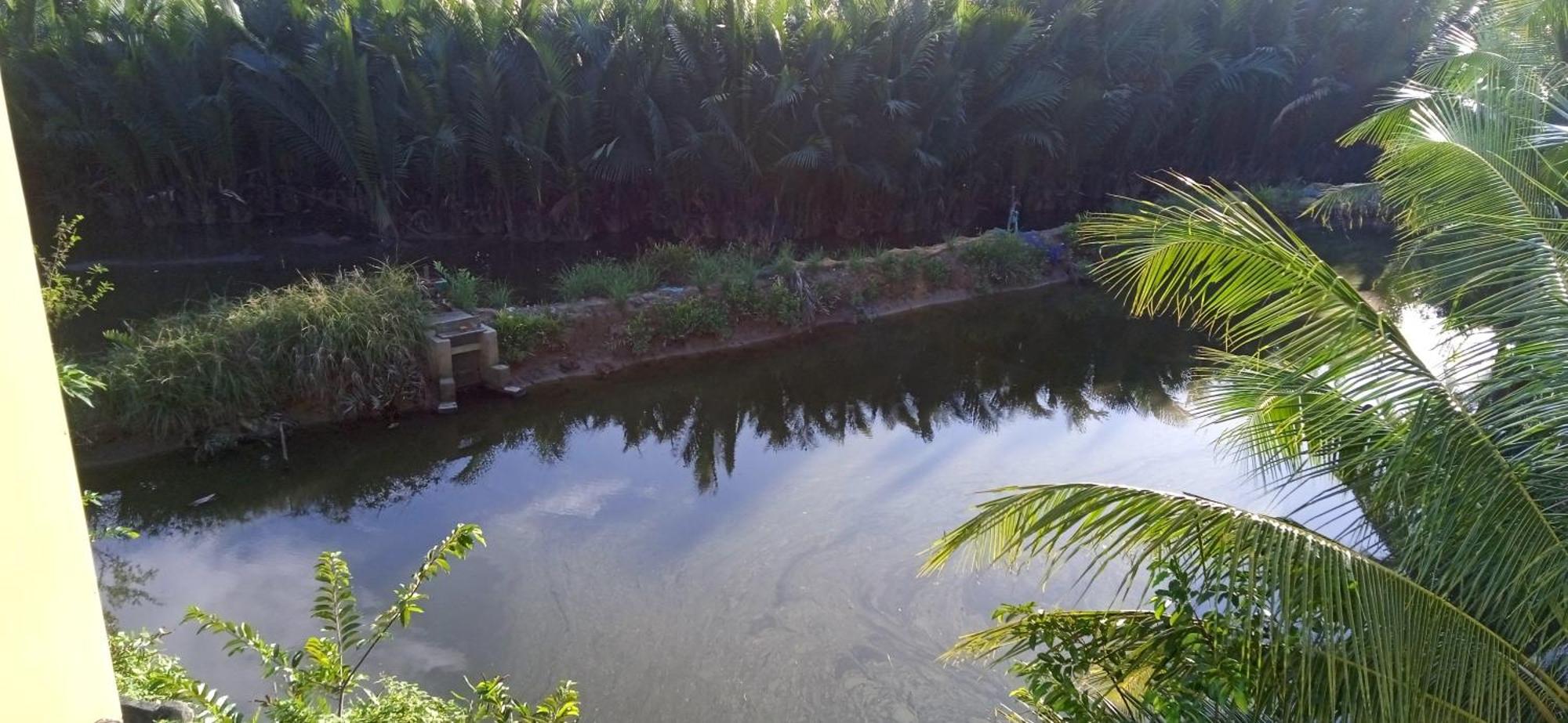 Lakeview Villa Homestay Hoi An Exteriör bild